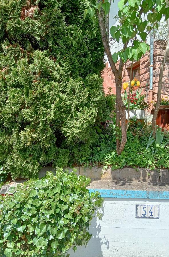 埃伯巴赫Casa La Collina Delle Ginestre公寓 外观 照片