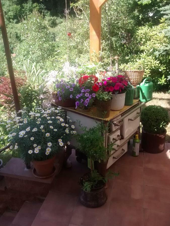 埃伯巴赫Casa La Collina Delle Ginestre公寓 外观 照片
