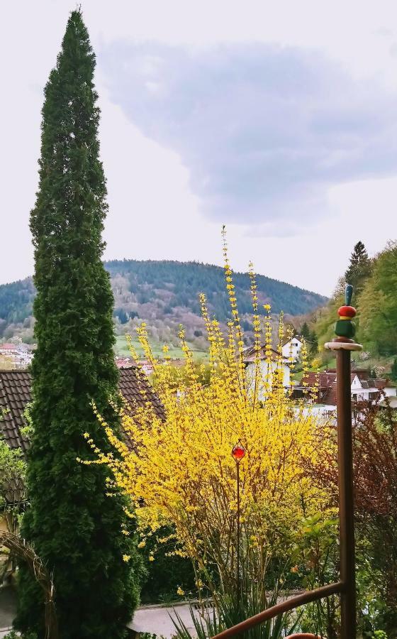 埃伯巴赫Casa La Collina Delle Ginestre公寓 外观 照片