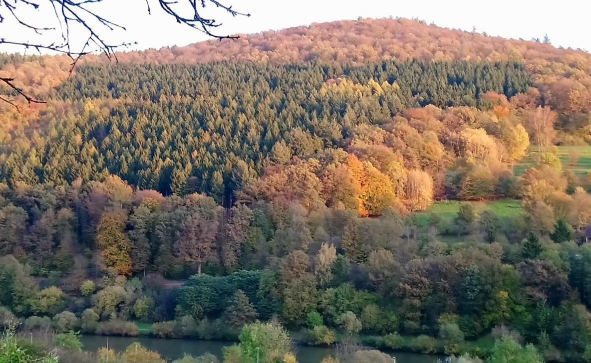 埃伯巴赫Casa La Collina Delle Ginestre公寓 外观 照片